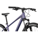 Rower MTB RAYMON Nayta Comp