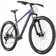 Rower MTB RAYMON Nayta Comp