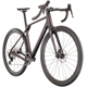 Rower gravel RAYMON Soreno Pure