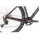 Rower gravel RAYMON Soreno Pure