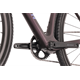 Rower gravel RAYMON Soreno Pure
