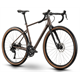Rower gravel RAYMON Territ Pure