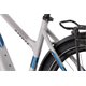 Rower elektryczny RAYMON TourRay E 5.0 9S M350