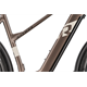Rower elektryczny RAYMON TourRay E 5.0 9S M350