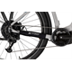Rower elektryczny RAYMON TourRay E 5.0 Gent 9S M350