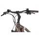 Rower elektryczny RAYMON TourRay E 5.0 Gent 9S M350