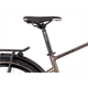 Rower elektryczny RAYMON TourRay E 5.0 Gent 9S M350