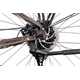 Rower elektryczny RAYMON TourRay E 5.0 Gent 9S M350