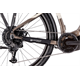Rower elektryczny RAYMON TourRay E 5.0 Gent 9S M350