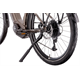 Rower elektryczny RAYMON TourRay E 5.0 Gent 9S M350