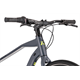 Rower miejski RAYMON UrbanRay 1.0 Gent