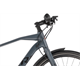 Rower miejski RAYMON UrbanRay 2.0 Gent