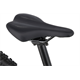 Rower dziecięcy RAYMON Yanga 24