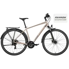 Rower trekkingowy RAYMON Zayn Comp
