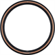 Opona SCHWALBE G-One R PRO