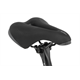 Rower elektryczny SIMPLON Chenoa 365 :E Selection+