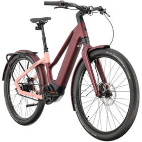 Rower elektryczny WINORA iRide Pure R5f 