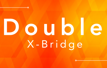 Double X-Bridge