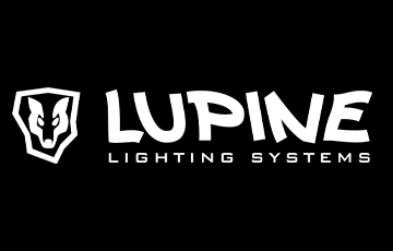 Lupine